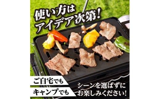 【純国産黒皮鉄板】まどか鉄板3号 45