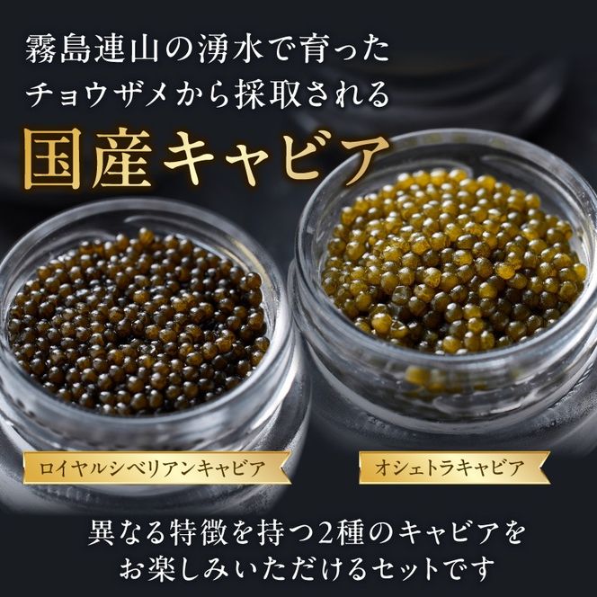 y{茧юszyYLrAzc̗ 2Hה׃Zbg 40g Y LrA `EU { юs Hה