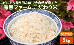 米 コウノトリ舞う田んぼで大自然が育てた"有無ファーム"こだわり米 5分づき 5kg お米 栽培期間中農薬・化学肥料不使用