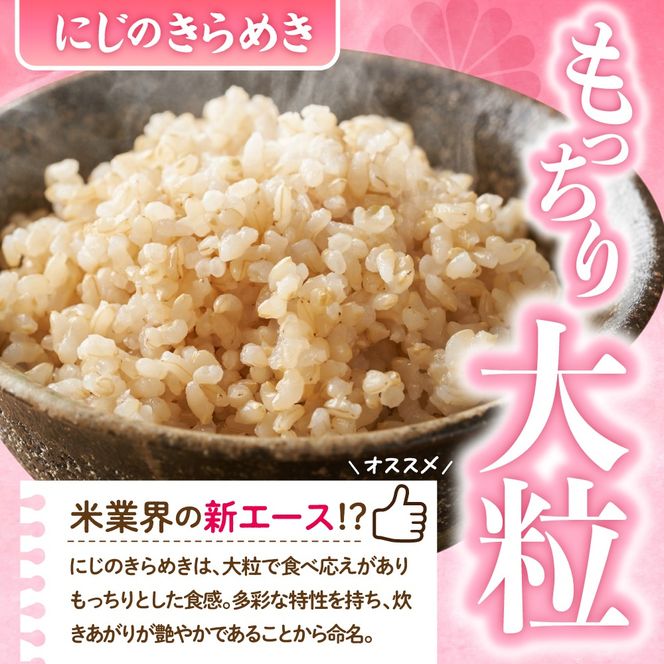 2026年6月発送【令和7年度産】群馬県千代田町産 にじのきらめき 10kg(5kg×2袋) (玄米) 群馬県 千代田町