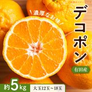 ZD7000_【2027年先行予約】【お味濃厚】紀州有田産 の 大玉 デコポン 5kg (12玉～18玉入り・青秀以上)