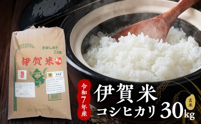 【玄米】令和7年産　伊賀米コシヒカリ　30kg　お米 米 こしひかり ごはん 三重県 名張市
