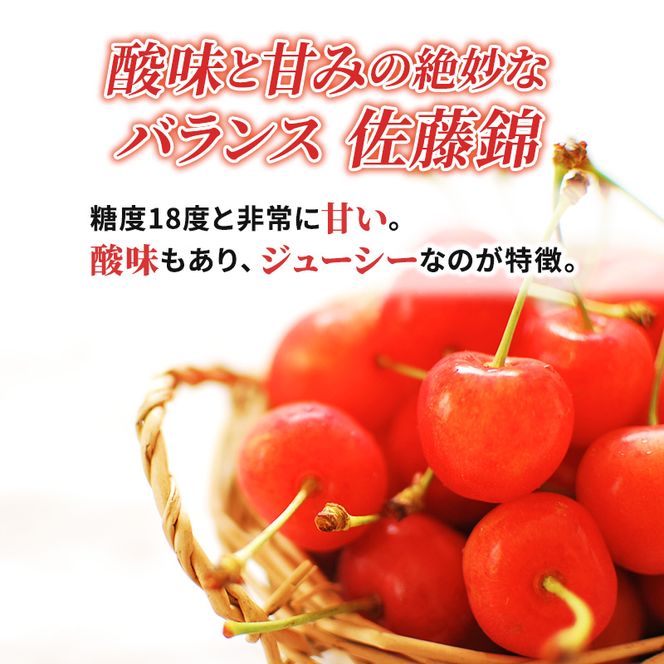 先行受付 さくらんぼ 佐藤錦 800g（200g×4）M-Lサイズ混合  サクランボ チェリー フルーツ 果物 果物類  北海道 仁木町 仁木 [大塚農園]