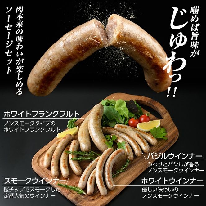 a010 ＜容量・定期便が選べる＞鹿児島黒豚「短鼻豚」無添加ソーセージ4種詰め合わせ(各1P・各3P・3回定期便)！【鹿児島ますや】姶良市 ウインナー ウィンナー フランクフルト 豚肉 おかず