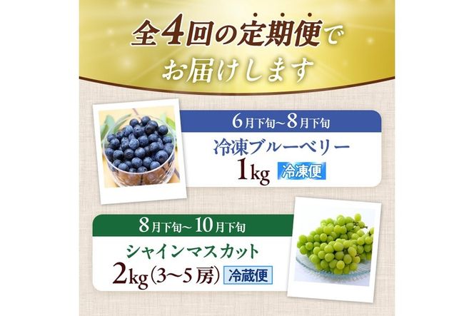 ＜定期便・全4回＞大分県産旬のフルーツ定期便 (4種・総量9kg) ブルーベリー シャインマスカット 温州みかん いちご フルーツ 果物 柑橘 ブドウ デザート 大分県産＜北海道・沖縄・離島配送不可＞【DT23】【全国農業協同組合連合会大分県本部】