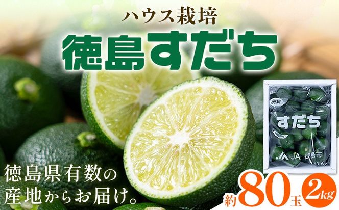 佐那河内名産 ハウス栽培 すだち 80玉 (2kg) ハウスすだち スダチ 一般財団法人さなごうち《6月中旬-9月上旬頃出荷》徳島県 佐那河内村 送料無料 スダチ ハウス 魚 豆腐 冷奴 焼き魚 天ぷら 刺身 徳島県産---sanagouchi_hss_2_2kg---