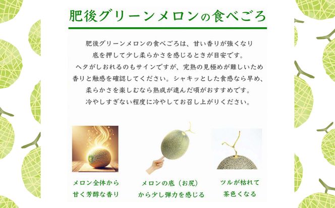 【先行予約】 熊本県八代市産 肥後グリーンメロン 4L以上 1玉 約2kg 果物 くだもの フルーツ 肥後グリーン メロン 青肉メロン 【2026年5月上旬より順次発送】