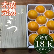 4月 まで 木成 完熟 させた 有田 はっさく 特秀 M × 18玉 2段詰 化粧箱 南泰園 みかん  	BS758