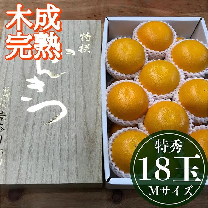 4月 まで 木成 完熟 させた 有田 はっさく 特秀 M × 18玉 2段詰 化粧箱 南泰園 みかん  	BS758