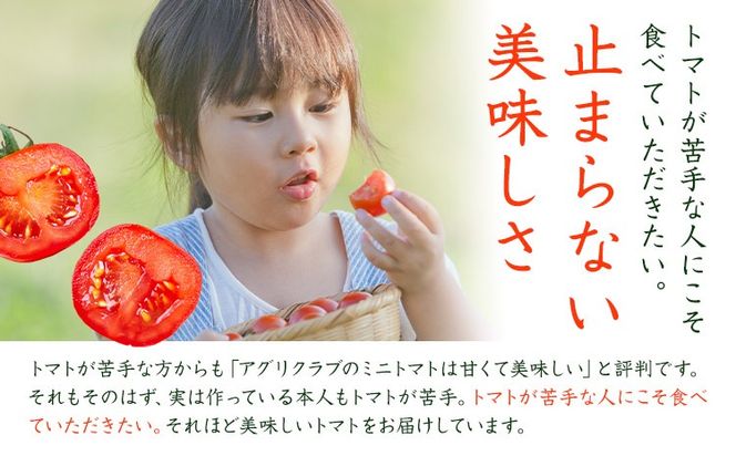 ミニトマト 約1kg 約2kg 約3kg 氷川アグリクラブ トマト 熊本《2月上旬-4月末頃出荷》熊本県 氷川町 野菜 熊本県産 サラダ プチトマト 国産---hkw_agrmt_af24_26_5000_1kg---