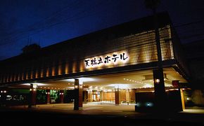 【天橋立ホテル　神の遊湯入浴券】旅館　天然温泉　和風　宿泊券　観光　旅行　京都　宮津市