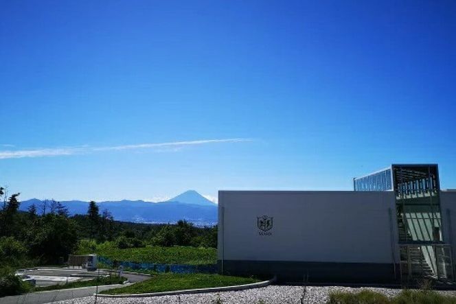 マルスワインシルバー 赤 ミディアムボディ 一升瓶 1.8L×1 [本坊酒造 マルス穂坂ワイナリー 山梨県 韮崎市 20743449] ワイン 赤ワイン