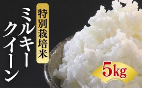 ミルキークイーン＜特別栽培米＞精米 5㎏（減農薬 有機肥料 お米 米 おこめ こめ 白米 みるきーくいーん）【002311】