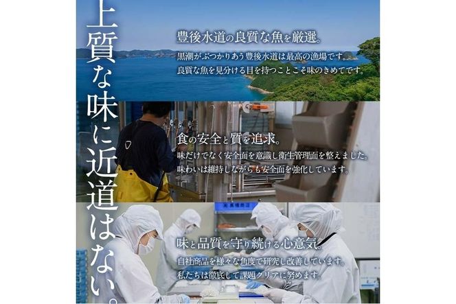  豊後水道産 しらす (合計600g・100g×6袋) 冷凍 しらす しらす丼 丼ぶり 魚 さかな ご飯 ごはん 炒飯 チャーハン パスタ サラダ 国産 大分県 パック 小分け 便利 大分県 佐伯市【CT09】【 (有)高橋商店】