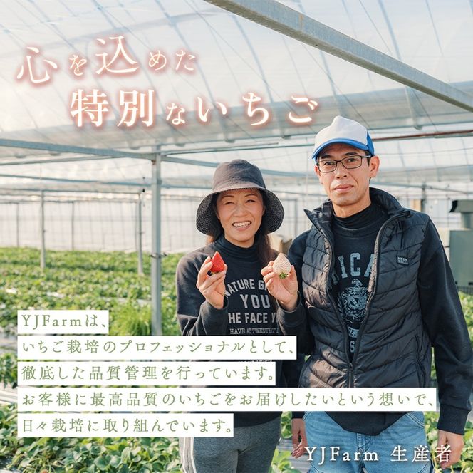 【先行予約】天使のいちご 紅白セット 苺 約400g いちご 詰め合わせ セット 岐阜県 海津市