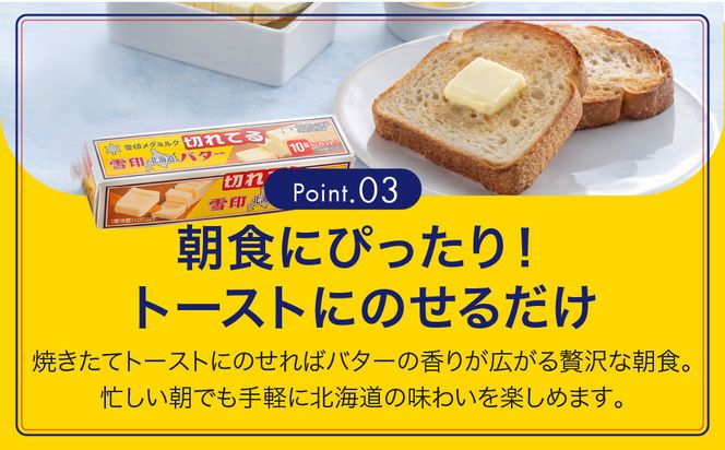 【3か月 定期便】切れてる 雪印 北海道 バター（10g×10個入）×10個【 乳製品 バター 雪印 朝食 ギフト　料理用 キャンプ 標茶町 北海道 】 016641_AX002