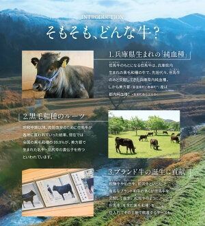【ふるさと納税】但馬牛 ロースと赤身 店長おすすめ部位 食べくらべ 500g 肉 お肉 牛肉 ロース 牛ロース ロース肉 薄切り うす切り 赤身 各250g 食べ比べ 詰め合わせ セット 焼肉 焼き肉 BBQ バーベキュー 冷凍【配送不可地域：離島】【1242705】 兵庫県 新温泉町 送料無料