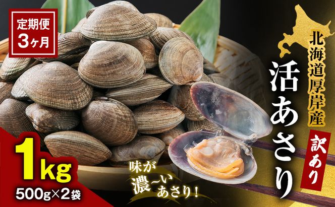 3カ月 定期便 北海道 厚岸産 訳あり 活あさり 500g×2(各月1kg、合計3kg) アサリ 貝類 海産物 旨み 砂出し済み 厚岸産あさり 