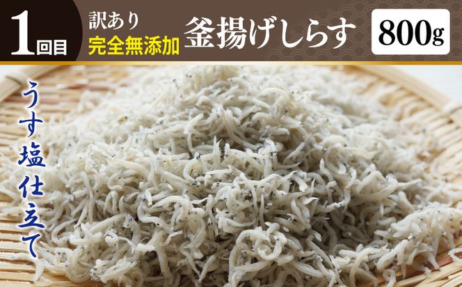 G1245 店主セレクト ハンバーグ／しらす 食べ比べ 定期便 全3回【毎月配送コース】