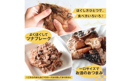 鰹ツナパウチ 100g×20袋セット 100グラム 国産 おにぎり つなまよ ツナマヨ ご飯 お弁当 魚 パスタ サラダ たんぱく質 タンパク質 おやつ かつお カツオ【企業組合　宇佐もん工房】 [BQAB066]