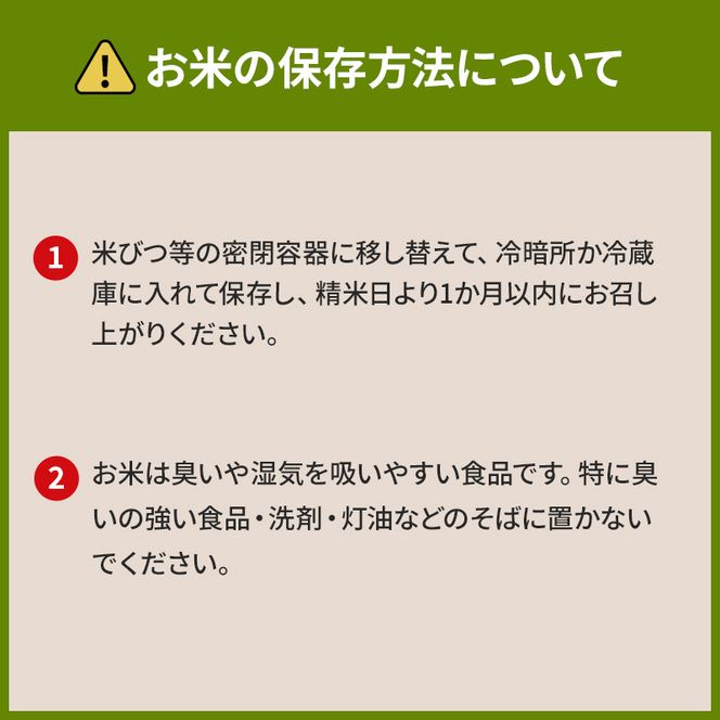米 5kg 恵つくし 奇跡の一粒 5kg×1 令和7年産 お米 こめ コメ 新品種 