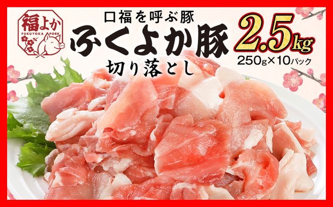豚肉 ふくよか豚 切り落とし 2.5kg（250g×10パック） モモ ウデ モモ肉 ウデ肉 小分け 真空パック ブタ肉 ぶた肉 生姜焼き 焼きそば 豚汁 冷凍 福岡県 福岡 九州 グルメ お取り寄せ