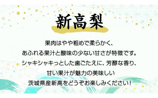 《 先行予約 》 茨城県産 梨 新高 （ 約5kg ） 【 2026年 9月中旬頃より発送開始 】  にいたか ニイタカ フルーツ 果物 なし ナシ 旬 新鮮 旬 期間限定 国産 [CK004us]