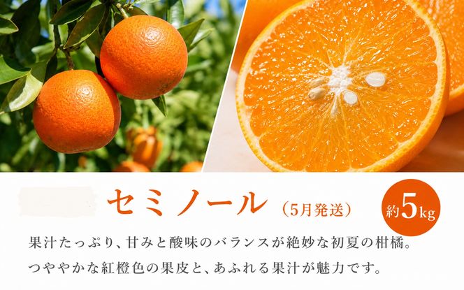 【定期便】【全3回】紀州和歌山産旬のフルーツ定期便（セミノール・スイカ・桃）【5月・6月・7月】【tkb453】 