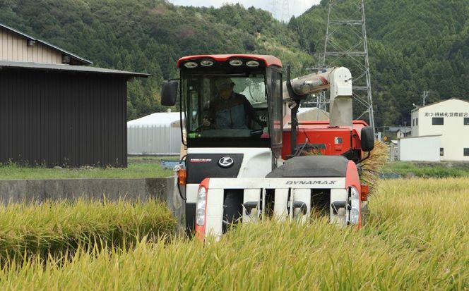 BE-14d 【１２カ月定期便】岐阜県産コシヒカリ ５kg(合計６０kg)