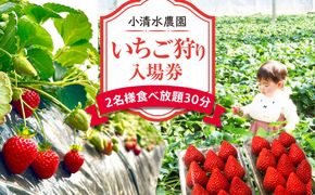 いちご狩り　入場券　2名様　食べ放題30分 142069_CP010