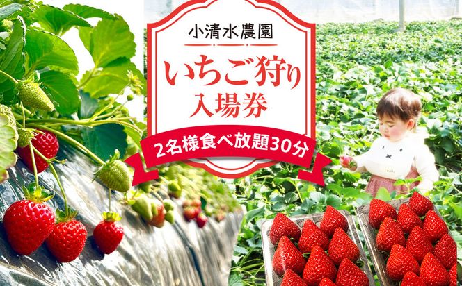 いちご狩り　入場券　2名様　食べ放題30分 142069_CP010