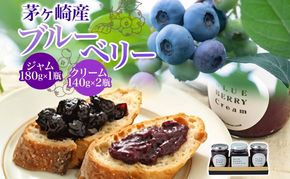 茅ヶ崎産 ブルーベリージャム ＆ ブルーベリークリーム 180g × 1瓶 140g × 2瓶 収穫 太陽 美味 育つ ジャム バター 地場産  新鮮 卵 スプレッド 濃厚 風味 温故知新 開工房 農園 果実 摘み取り 完熟 農園 あっさり 食パン 朝食 送料無料 神奈川県 茅ヶ崎市