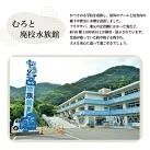 まぐろ コロッケ 10個 セット マグロ 胃袋 本鮪 希少 部位 揚げ物 惣菜 魚介 海鮮 国産マグロ 使用 手作り グルメ おかず おつまみ 冷凍 ギフト 贈答 家庭用 高知県室戸市