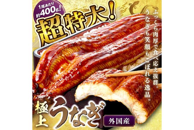 【7月24～26日配送】超特大！ふっくら肉厚！うなぎ蒲焼 2尾 合計800g前後 ふるさと納税 鰻 外国産 ウナギ 肉厚 蒲焼 鰻の蒲焼 有頭 蒲焼き　YK00403_01
