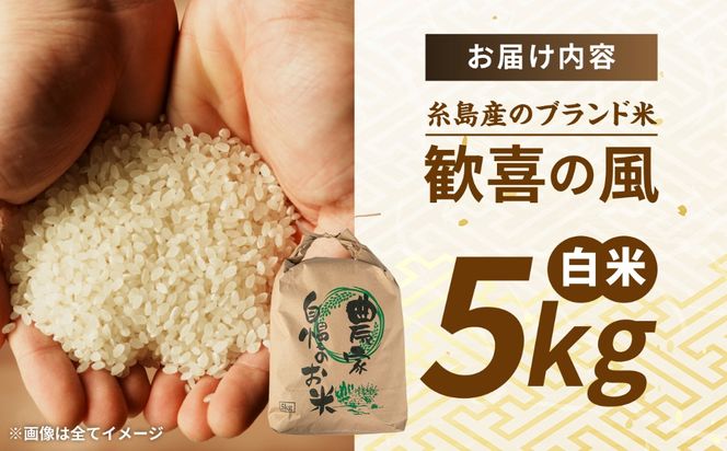歓喜の風 白米 5kg 糸島市産 糸島市 / 糸島の恵み コメ こめ ご飯[AGR003]