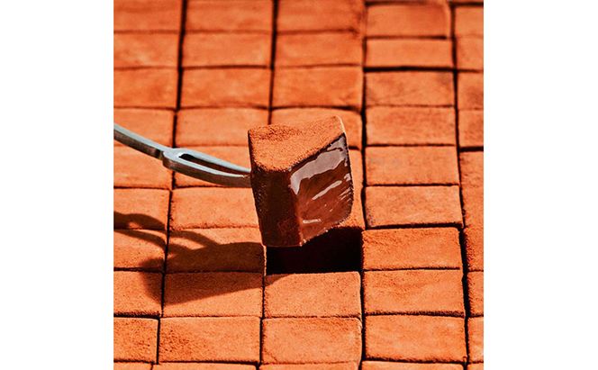 MAISON CACAO メゾンカカオ アロマ生チョコレート 2種セット（16粒×2箱）70％カカオ 海塩 マカダミア ギフトボックス入 冷凍配送 神奈川県茅ヶ崎市