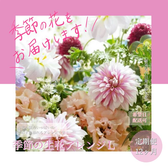【CF-R7hbk】t165tmf　《12ヵ月定期便》おすすめ生花アレンジメントL 定期便 定期コース 全12回 フラワーアレンジメント そのまま飾れる 生花 花束 花 お花 おすすめ 可愛い キレイ おしゃれ 季節のお花 供花 お供え
