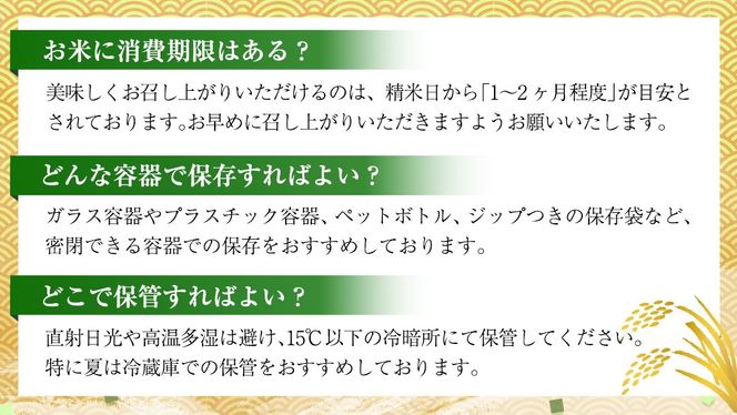 【 1月下旬発送 / 数量限定 】新米 茨城県産 コシヒカリ 精米 10kg (5kg×2袋） 令和6年産 こしひかり 米 コメ こめ 単一米 限定 茨城県産 国産 美味しい お米 おこめ おコメ [CL32-NT]