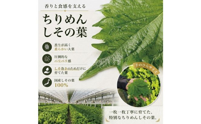 宮城名物 焼きしそ巻き はちみつ・えごま詰合せ 36本 320g【 しそ巻き 仙台市  食品 加工食品 和風惣菜 おかず  宮城 仙台 和食 惣菜 手作り 地元の味 伝統料理 風味豊か 香ばしい 家庭料理 風味抜群 】 041009_FH003