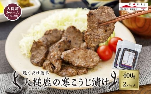 【失敗なし！しっとりジューシー】大槌鹿の寒こうじ漬け【優秀賞受賞】 200g×1パック/200g×2パック計400g 岩手県産 天然鹿 鹿肉 味付肉 寒こうじ 安藤醸造 ジビエ ヘルシー 低カロリー こうじ 糀 おかず ご飯のお供 赤身 冷凍 加工肉 ギフト