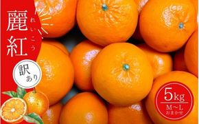 M-L サイズおまかせ 前地農園の麗紅(れいこう) 5kg　ご家庭用【2026年2月初旬から2月中旬までに順次発送】 / 家庭用 ご家庭用 れいこう 麗紅 みかん 蜜柑 サイズおまかせ【mmd007B】