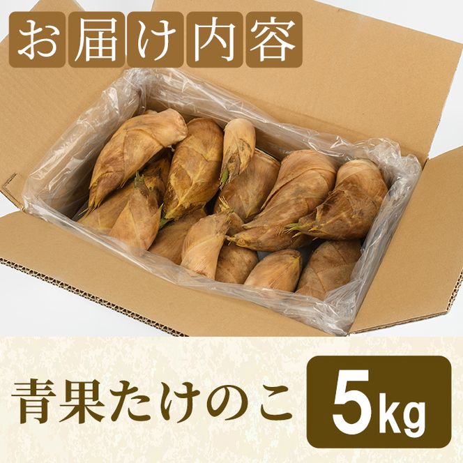 ＜先行予約受付中！2027年2月下旬以降順次発送予定＞ 【土日祝着】朝堀り青果たけのこ(約5kg) 国産 新鮮 タケノコ 青果 竹の子 筍 野菜 春 旬 期間限定 数量限定 【上野食品】akn008-20-B