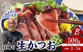 かつお一本釣り漁師が直送！ 日帰り生かつお 訳あり 500g入 304018_DT04