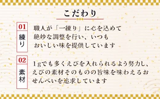 えびせんべいの里 えびせんいろいろ10袋セット 海老せんべい 煎餅 たこせんべい えびおかき いかせんべい 海鮮煎餅 詰め合わせ 大容量 お菓子 おつまみ おやつ お茶請け 工場直売 南知多 美浜町 お土産　※北海道・沖縄・離島への配送不可
