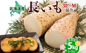 北海道産 長いも 春夏出荷 約5kg 2026年5月上旬～6月下旬頃お届け 長芋 ながいも とろろ 農作物 野菜 新鮮 根菜  山かけ 産地直送 お取り寄せ 送料無料 冷蔵 北海道 洞爺湖町