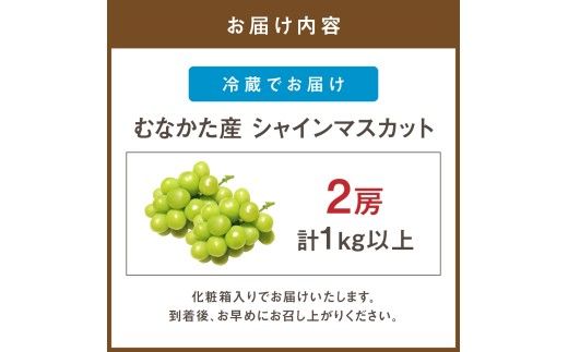 【先行予約】JAむなかた厳選【むなかた産シャインマスカット】2房(1kg以上)【JAほたるの里】_AS0914-00