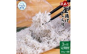 【CF-R7hbk】t188mmk　〈3ヶ月定期便〉訳あり 釜揚げシラス 100g×6個 定期便 定期コース 3ヶ月 しらす シラス 釜揚げ 新鮮 塩分控えめ 離乳食 わけあり ワケあり 不揃い しらす丼 海鮮丼 お茶漬け