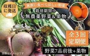 【 全3回 定期便 】 こだわり 野菜  ( 7品 前後 ) セット ＋ 果物 《糸島》【オーガニックナガミツファーム】 	[AGE007]