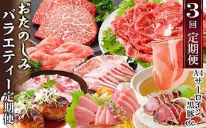 定期便(3回配送)　お楽しみバラエティー定期便 LL-6017 【1499420】