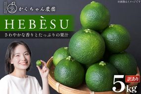 【期間限定発送】 訳あり  採れたてへべす 5kg [かくちゃん農園 宮崎県 日向市 452060673] 果物 柑橘 へべす 平兵衛酢 ヘベス 期間限定 数量限定 規格外 家庭用 果汁 香酸柑橘 調味料 宮崎 ビタミンC アミノ酸 国産 種が少ない